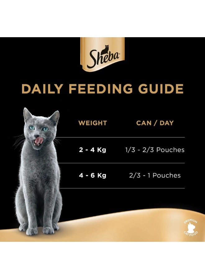 Sheba Chicken Premium Loaf Fine Food For Cats 12 + Months 12 X 70G - Image 4
